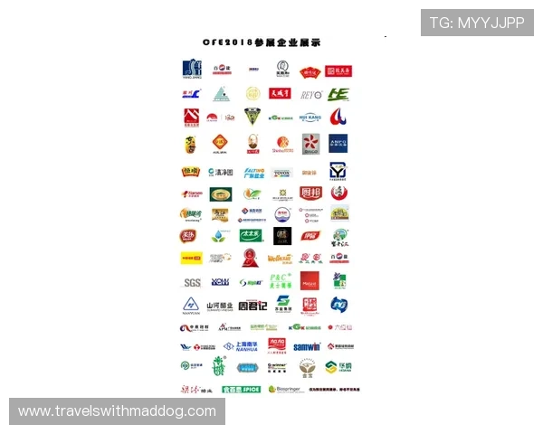 中国体博会官网最新资讯全面解析助你掌握展会动态