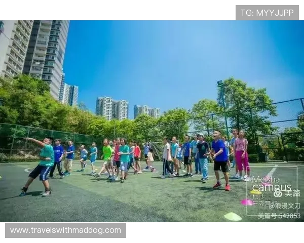 乐天体育app官网下载安装步骤全攻略，轻松掌握体育娱乐的便捷入口