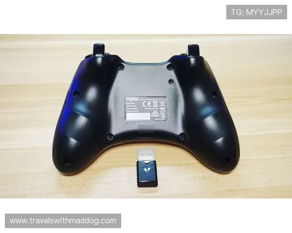 博天堂918官网入口安全登录指南，轻松进入官网畅玩精彩游戏