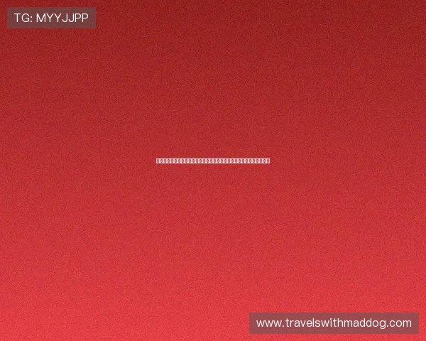 博天堂发布页常见问题解答，解决用户在使用过程中遇到的各种疑难问题