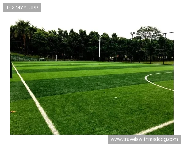 博天堂足球预测软件在足球预测领域的创新应用引领行业新潮流