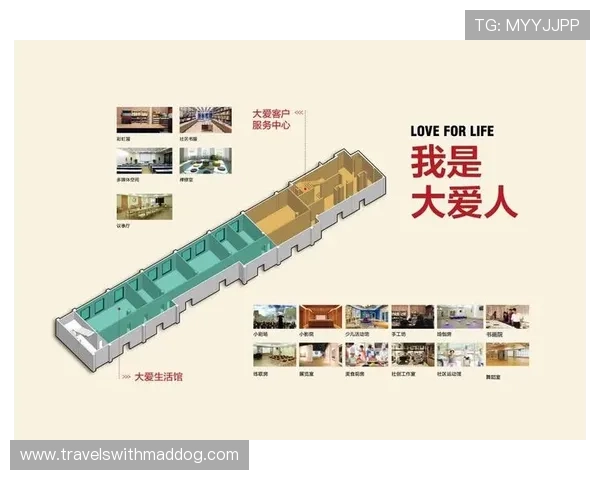 ag亚游娱乐平台的信誉评级与用户口碑分析报告